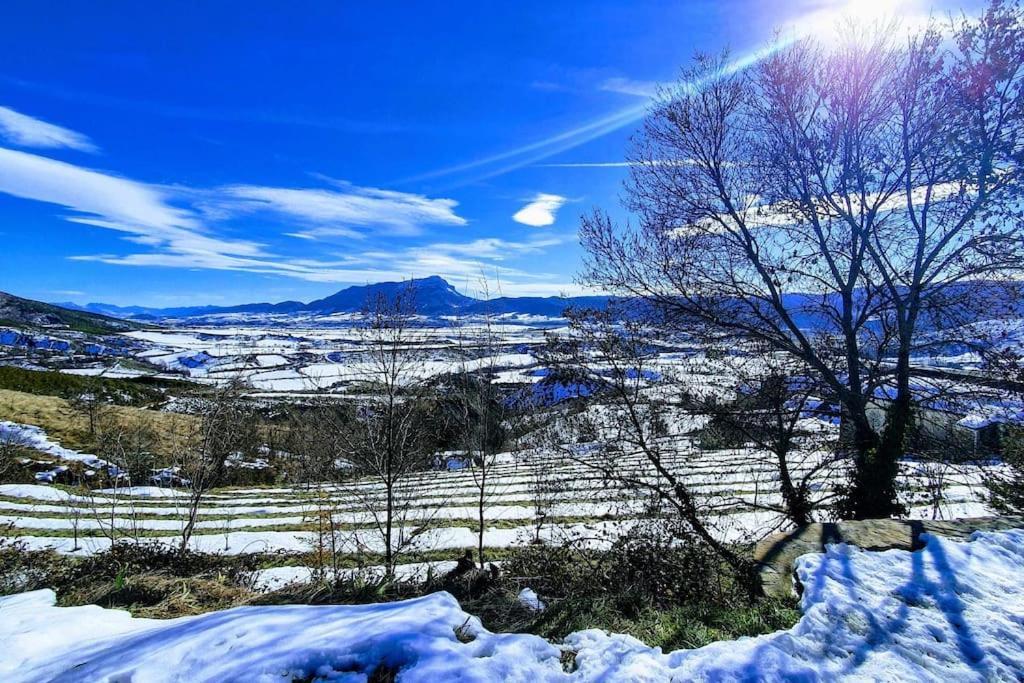 Alojamiento La Atalaya De Araguas Araguás del Solano エクステリア 写真